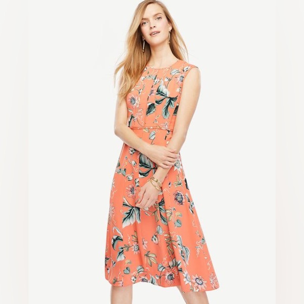 Ann Taylor Floral Oasis Midi Dress